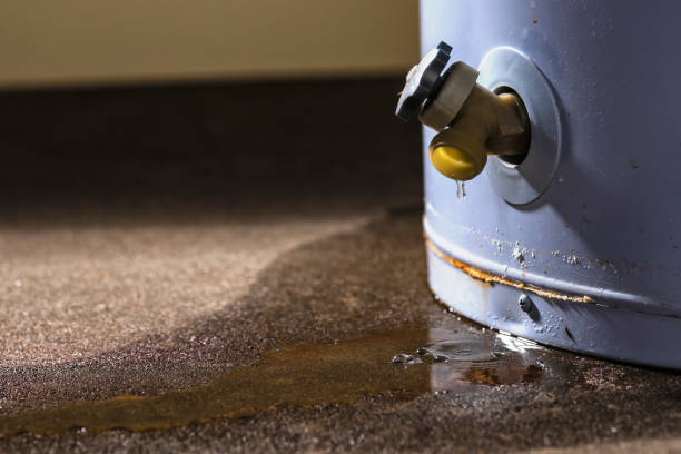 Best Sewage cleanup and water damage restoration  in Sisseton, SD