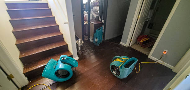 Best Flooded house restoration  in Sisseton, SD