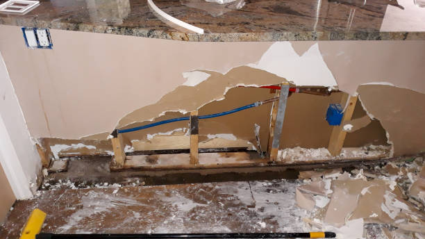 Best Mold removal after water damage  in Sisseton, SD