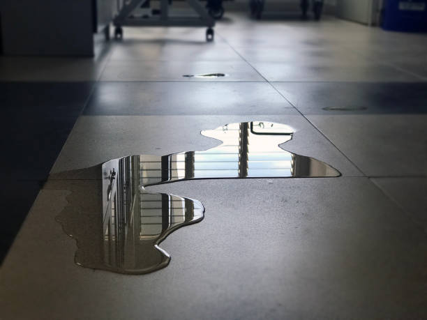 Best Commercial water damage restoration  in Sisseton, SD