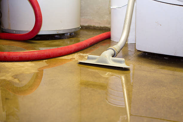 Best Fire Damage Restoration  in Sisseton, SD